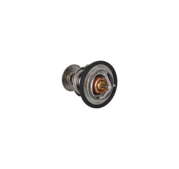Termostat, chladivo KAMOKA 7710173
