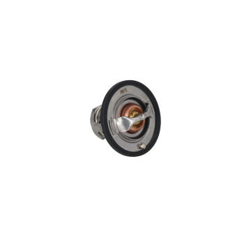 Termostat, chladivo KAMOKA 7710235