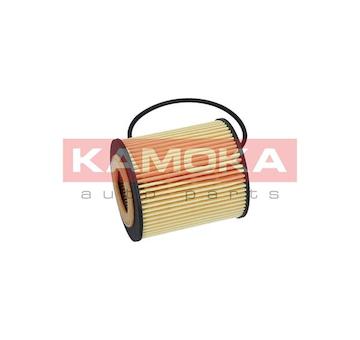 Olejový filtr KAMOKA F110201