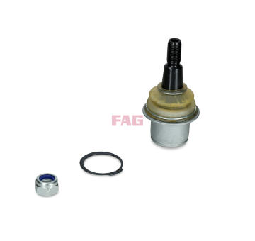 Zvislý/nosný čap Schaeffler FAG 825 0485 10