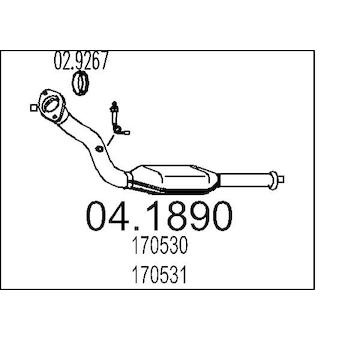 Katalyzátor MTS 04.1890
