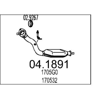 Katalyzátor MTS 04.1891