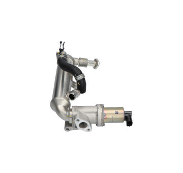 AGR-Ventil KAVO PARTS EEG-3031