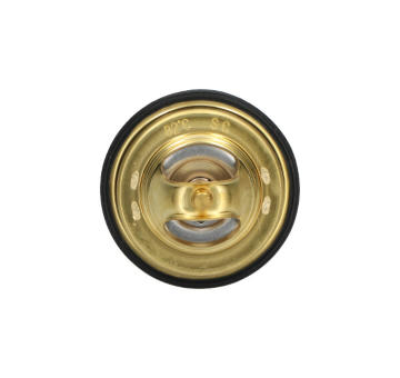 Termostat chladenia KAVO PARTS TH-9008