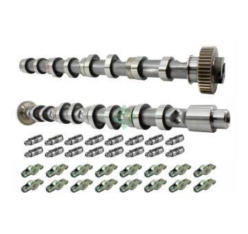 Sada vačkového hřídele Schaeffler INA 428 0059 30