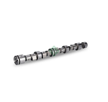 Vačkový hriadeľ Schaeffler INA 428 0095 10