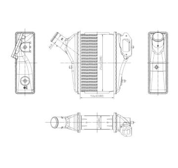 Chladič plniaceho vzduchu NRF 309091