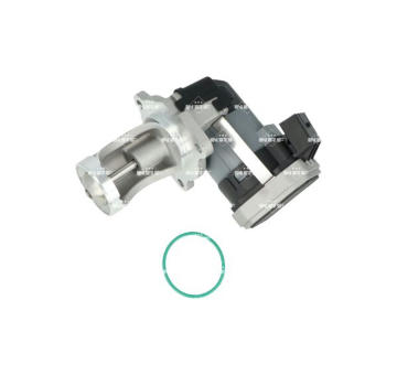 AGR - Ventil NRF 48730
