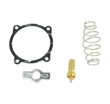 Termostat, chladivo NRF 725412