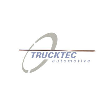 Ozdobna / ochranna lista, mrizka chladice TRUCKTEC AUTOMOTIVE 02.60.432