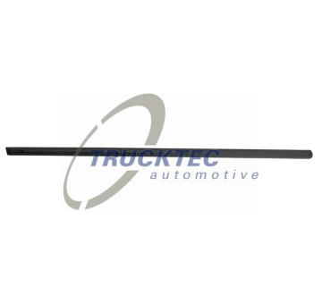 Ozdobna / ochranna lista, dvere TRUCKTEC AUTOMOTIVE 08.62.853