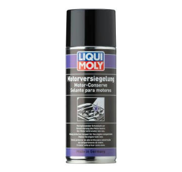 Lesklý nátěr na motory LIQUI MOLY 3327