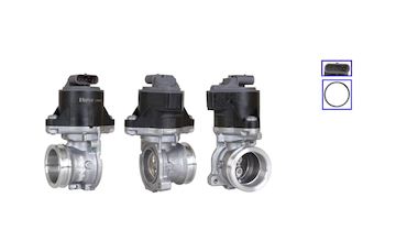 AGR-Ventil ELSTOCK 73-0349