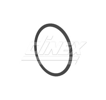 Těsnění, výfuková trubka DINEX 6LL006