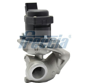 AGR-Ventil FRECCIA EGR12-107