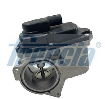 AGR-Ventil FRECCIA EGR12-123