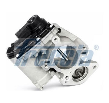 AGR-Ventil FRECCIA EGR12-162