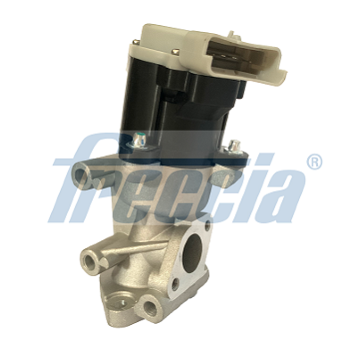 AGR-Ventil FRECCIA EGR12-169