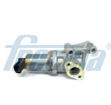 AGR-Ventil FRECCIA EGR12-176
