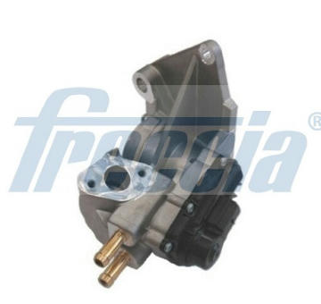AGR-Ventil FRECCIA EGR12-195