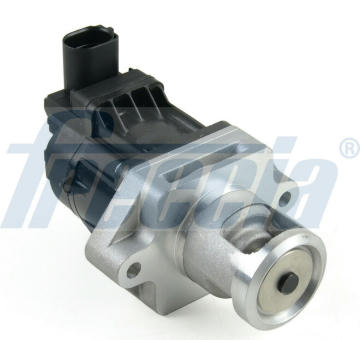 AGR-Ventil FRECCIA EGR12-218
