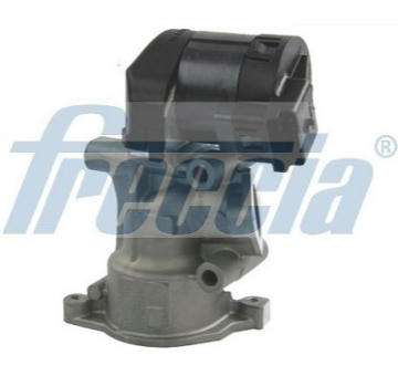 AGR-Ventil FRECCIA EGR12-113