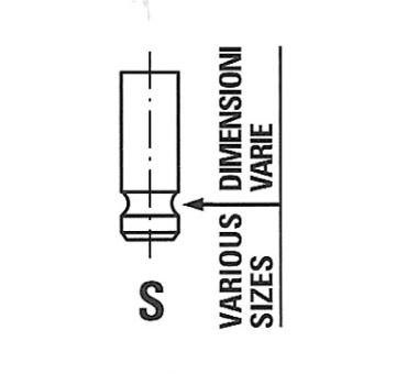 Výfukový ventil FRECCIA R7051/RARNT