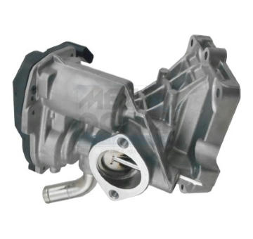 AGR-Ventil MEAT & DORIA 88486