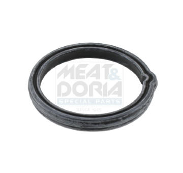 Tesnenie termostatu MEAT & DORIA 01664