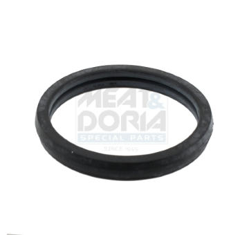 Tesnenie termostatu MEAT & DORIA 01694