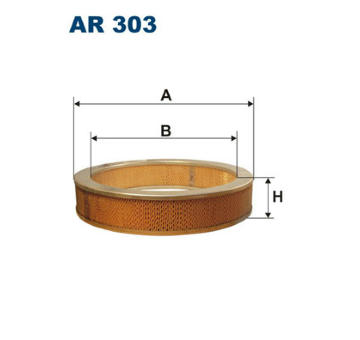 Vzduchový filtr FILTRON AR 303