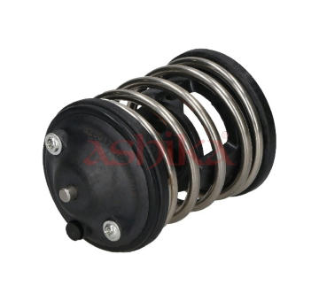 Termostat, chladivo ASHIKA 38-00-0110