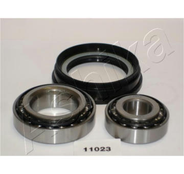 Sada ložisek kol ASHIKA 44-11023