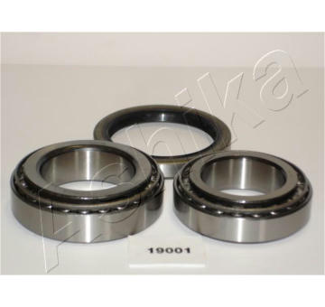 Sada ložisek kol ASHIKA 44-19001