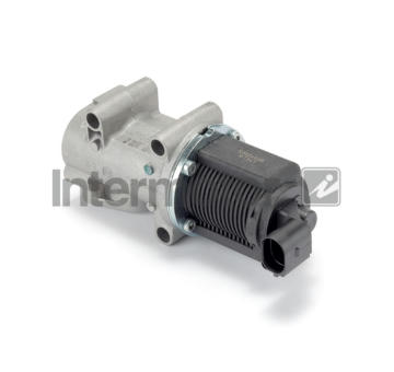 AGR-Ventil INTERMOTOR 14326