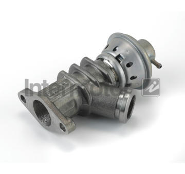 AGR-Ventil INTERMOTOR 14966