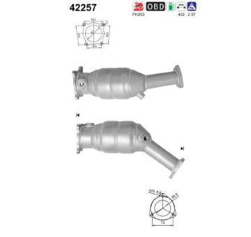 Katalyzátor AS 42257