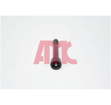 Sada šroubů hlavy válce AMC 258150