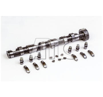 Sada vačkového hriadeľa AMC 647120K