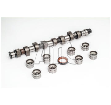 Sada vačkového hriadeľa AMC 662861K