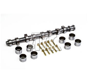 Sada vačkového hriadeľa AMC 665832K