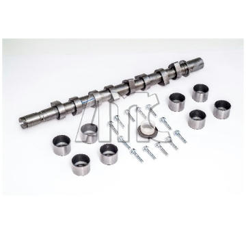 Sada vačkového hriadeľa AMC 666891K