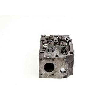 Hlava válce AMC 909172