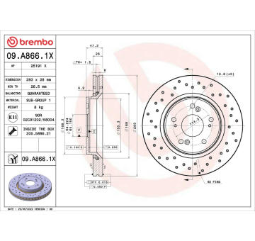 Brzdový kotouč AP 25191 X