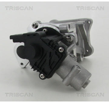 AGR-Ventil KAWE 8813 10007