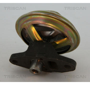 AGR-Ventil KAWE 8813 21009