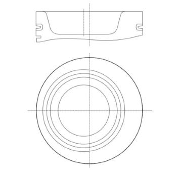 Píst MAHLE 227 PI 00139 000