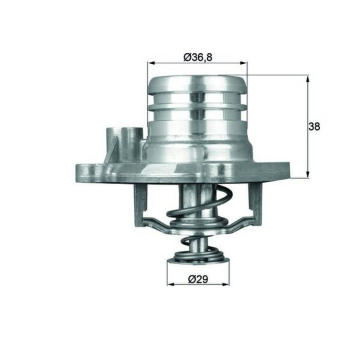 Termostat, chladivo MAHLE TI 13 92