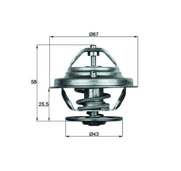 Termostat, chladivo MAHLE TX 19 75D