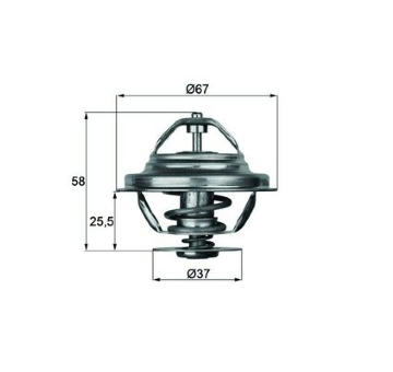 Termostat, chladivo MAHLE TX 20 71D